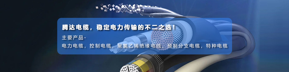 騰達電纜有限公司